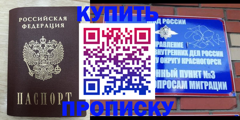 прописка гарантия в Тимашёвске